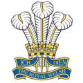 RoyalWelsh