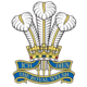 RoyalWelsh